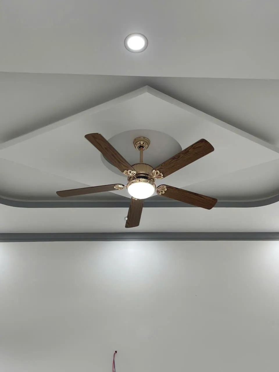 Quạt tân cổ điển cánh vân gỗ - THLED Đồng Nai